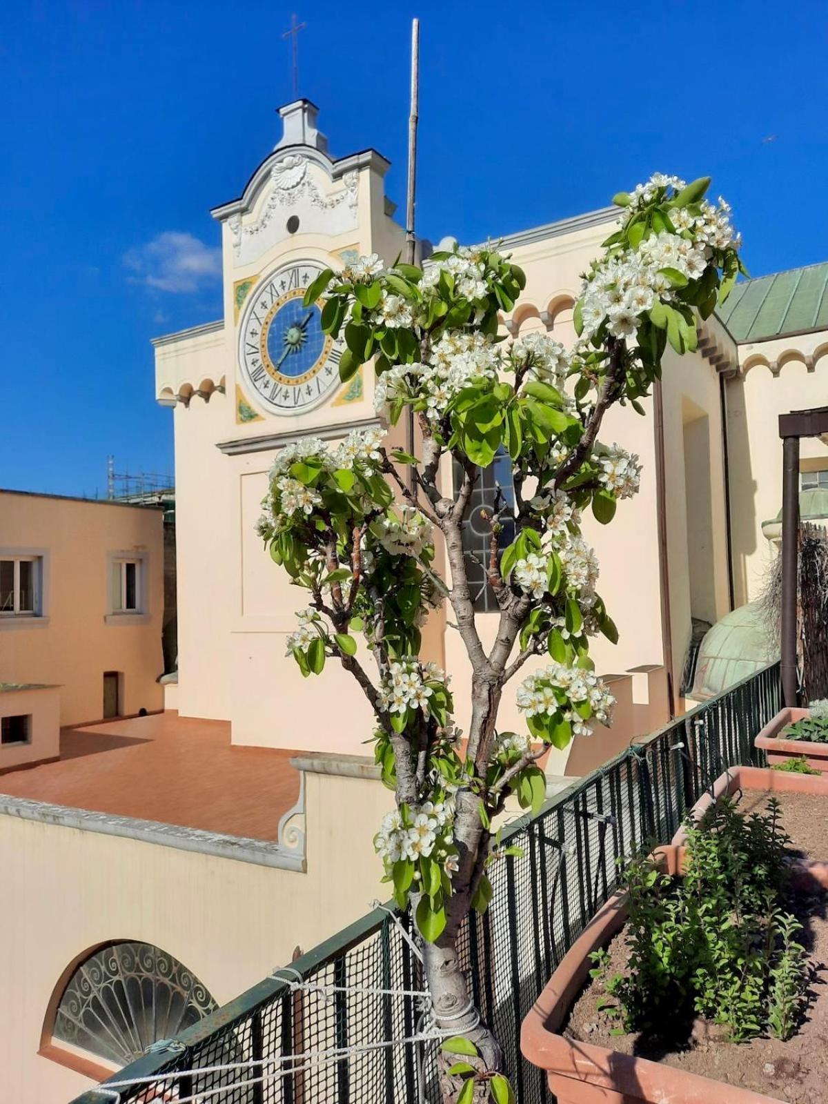Bed & Breakfast Dimora Cortese Napels